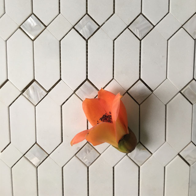 Shell Mosaic Tile 017